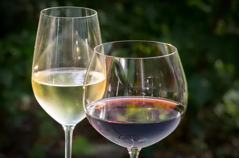 霞多丽干白葡萄酒750ml价格 霞多丽干白葡萄酒多少钱一瓶