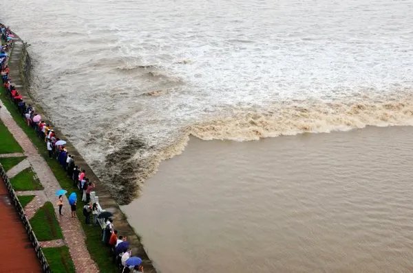浙江嘉兴一女子观潮拍视频被卷入浪花,观潮时该如何注意生命安全?