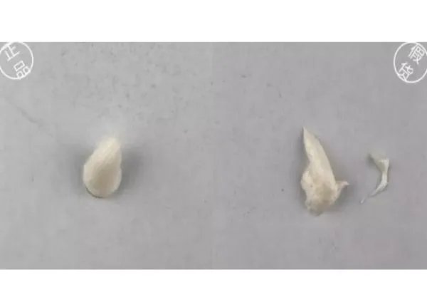 红石榴洗面奶新版真假鉴别 雅诗兰黛洁面乳真假图