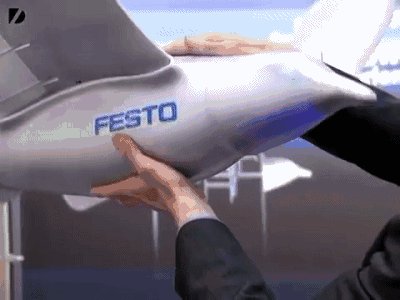 干掉人类的会是它们吗?2019全球最强9大超级仿生机械!