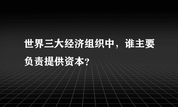 世界三大经济组织中，谁主要负责提供资本？
