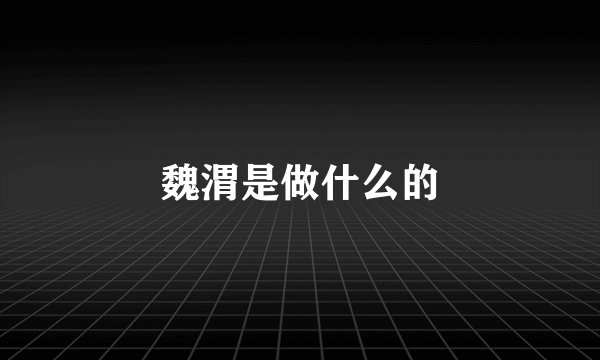 魏渭是做什么的
