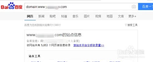什么叫网站收录,怎么查收录