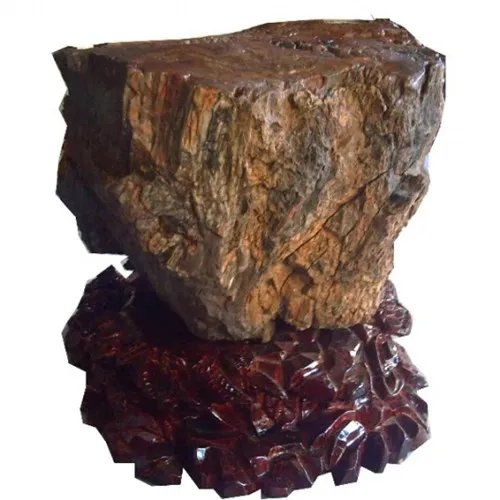 树化石图片与价格分析  树化石有收藏价值吗