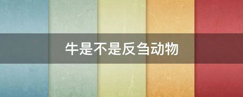 牛是不是反刍动物