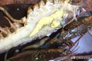 清蒸波士顿龙虾做法？