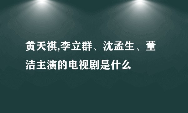 黄天祺,李立群、沈孟生、董洁主演的电视剧是什么