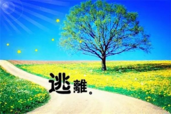 绝世狂龙战神沈七夜林初雪 绝世狂龙战神全文阅读