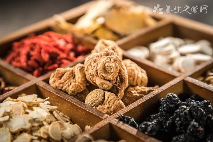 什么是补气的食物