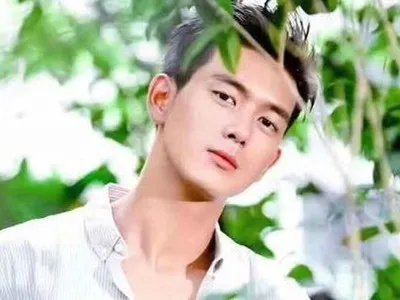 李晨与新加坡百亿富豪千金热恋,是否要当上门女婿?