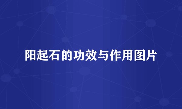 阳起石的功效与作用图片