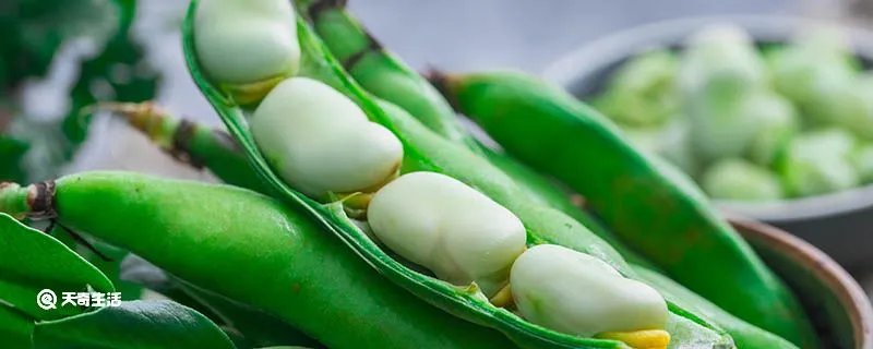 蚕豆怎样保存时间长点