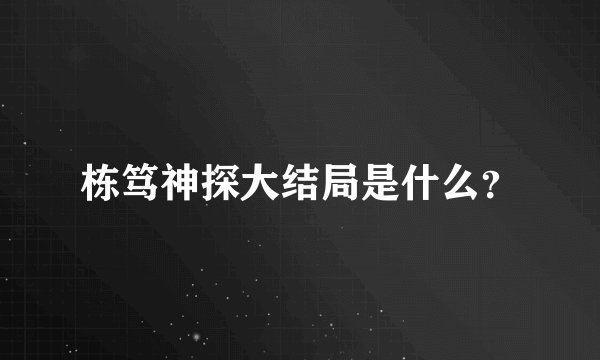 栋笃神探大结局是什么？