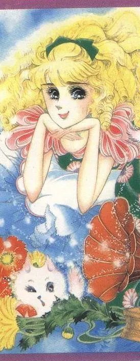 伯爵千金的介绍