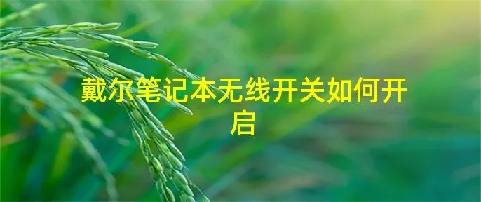 戴尔笔记本无线开关如何开启