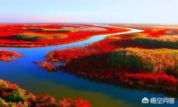 辽宁红海滩值得去吗?为什么海滩是红色的呢?