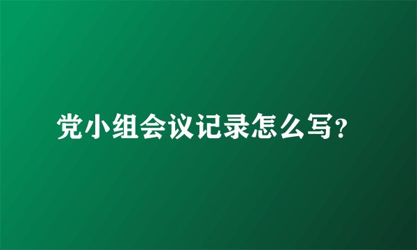 党小组会议记录怎么写？