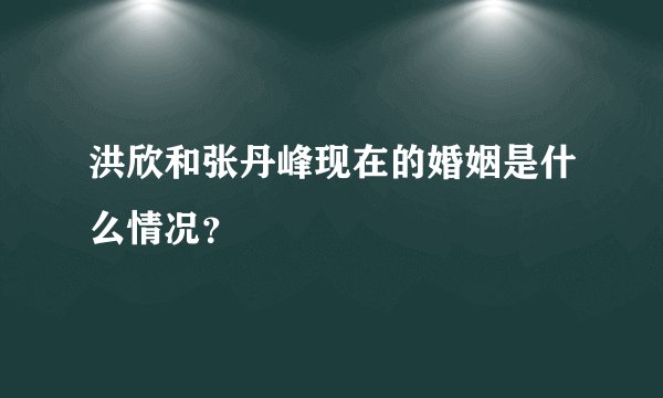 洪欣和张丹峰现在的婚姻是什么情况？
