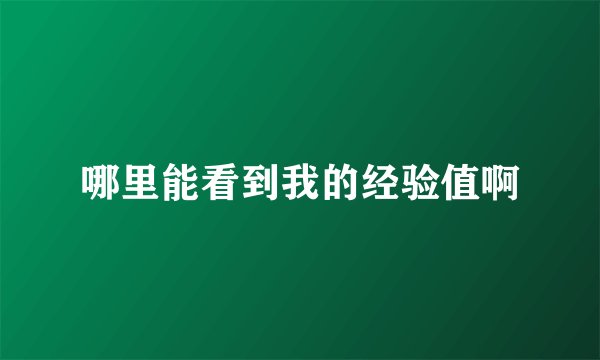 哪里能看到我的经验值啊