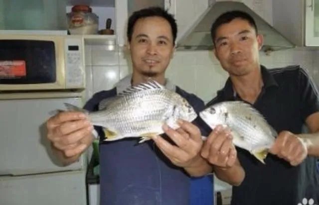 黄脚腊,黄脚立一样吗