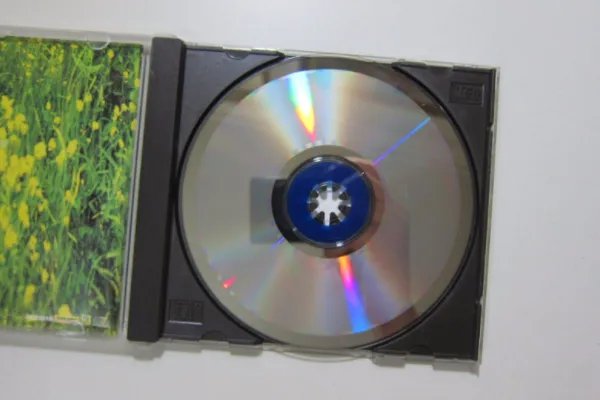 oad是番外的意思吗?