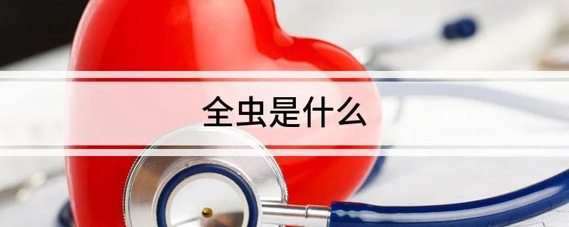 全虫是什么