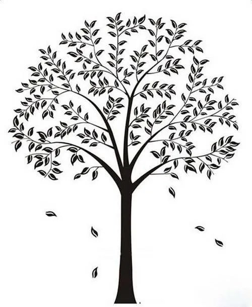 家庭成员的姓氏树怎么画？