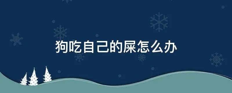 狗吃自己的屎怎么办