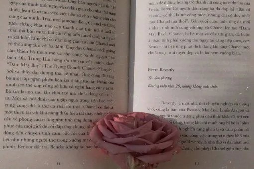 英语句子:oh,there she is.的意思