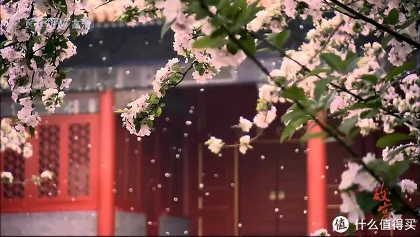 10部故宫历史纪录片,让你看见看不见的紫禁城,了解那个真实的故宫!