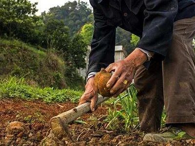 农村现状及存在的问题有哪些？