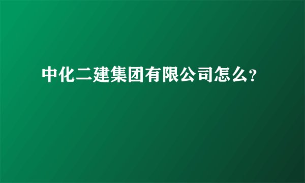 中化二建集团有限公司怎么？