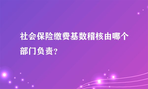 社会保险缴费基数稽核由哪个部门负责？