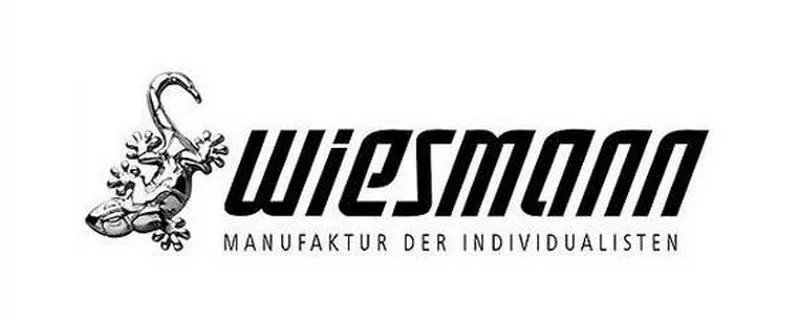 威兹曼车型,威兹曼汽车图片