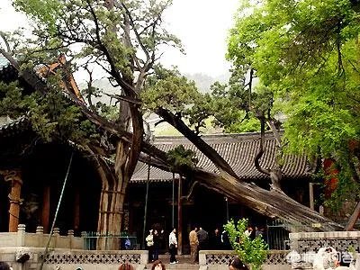 太原晋祠公园有什么好玩的？