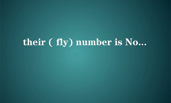their ( fly) number is No. CA436