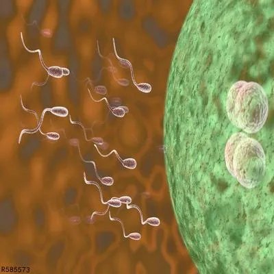 精液土黄色怎么回事 精液土黄色与这些原因密切相关