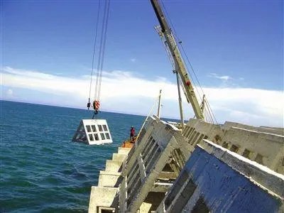 什么是人工鱼礁?