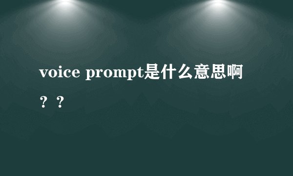 voice prompt是什么意思啊？？