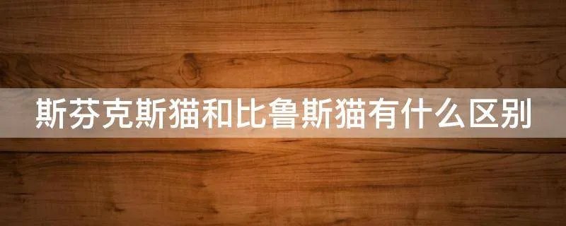 斯芬克斯猫和比鲁斯猫有什么区别