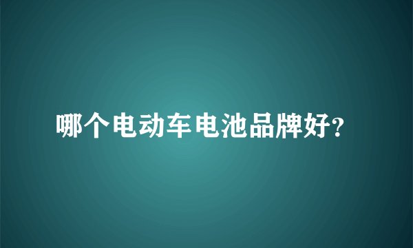 哪个电动车电池品牌好？