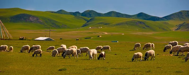 突勒是现在的什么地方 突勒是现在的哪里