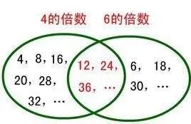 6的倍数特征