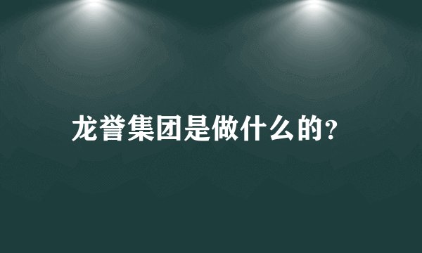 龙誉集团是做什么的？