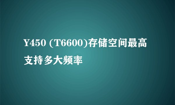 Y450 (T6600)存储空间最高支持多大频率