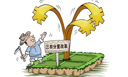 农村宅基地证在哪里办