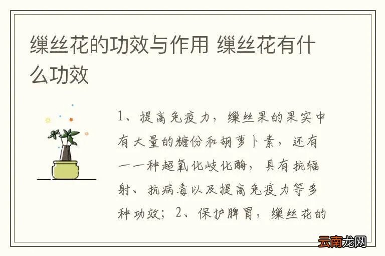 缫丝花的功效与作用 缫丝花有什么功效