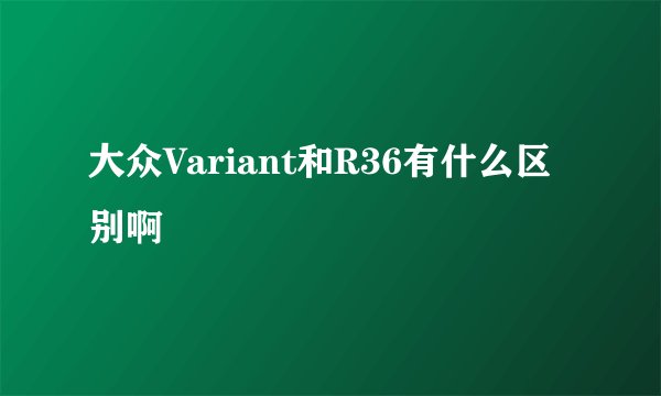 大众Variant和R36有什么区别啊