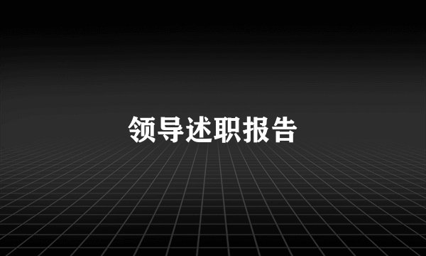 领导述职报告