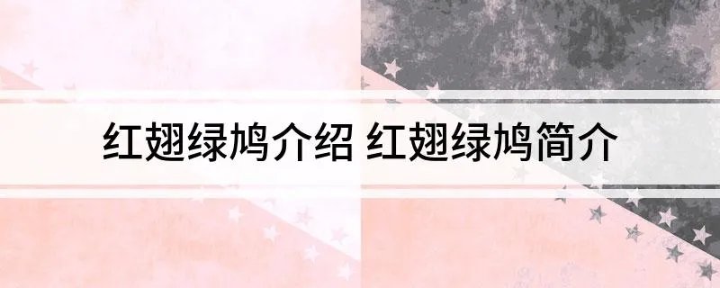 红翅绿鸠介绍 红翅绿鸠简介